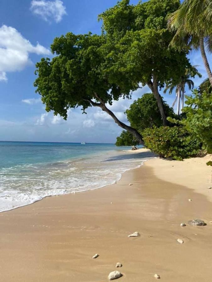 Westmoreland Hills - Mount Standfast - St James - Full Gym Membership Saint James Eksteriør billede