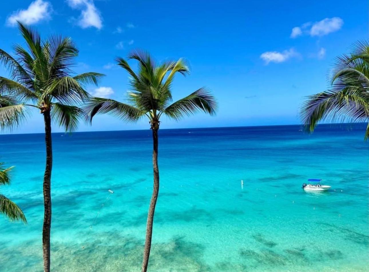 Westmoreland Hills - Mount Standfast - St James - Full Gym Membership Saint James Eksteriør billede